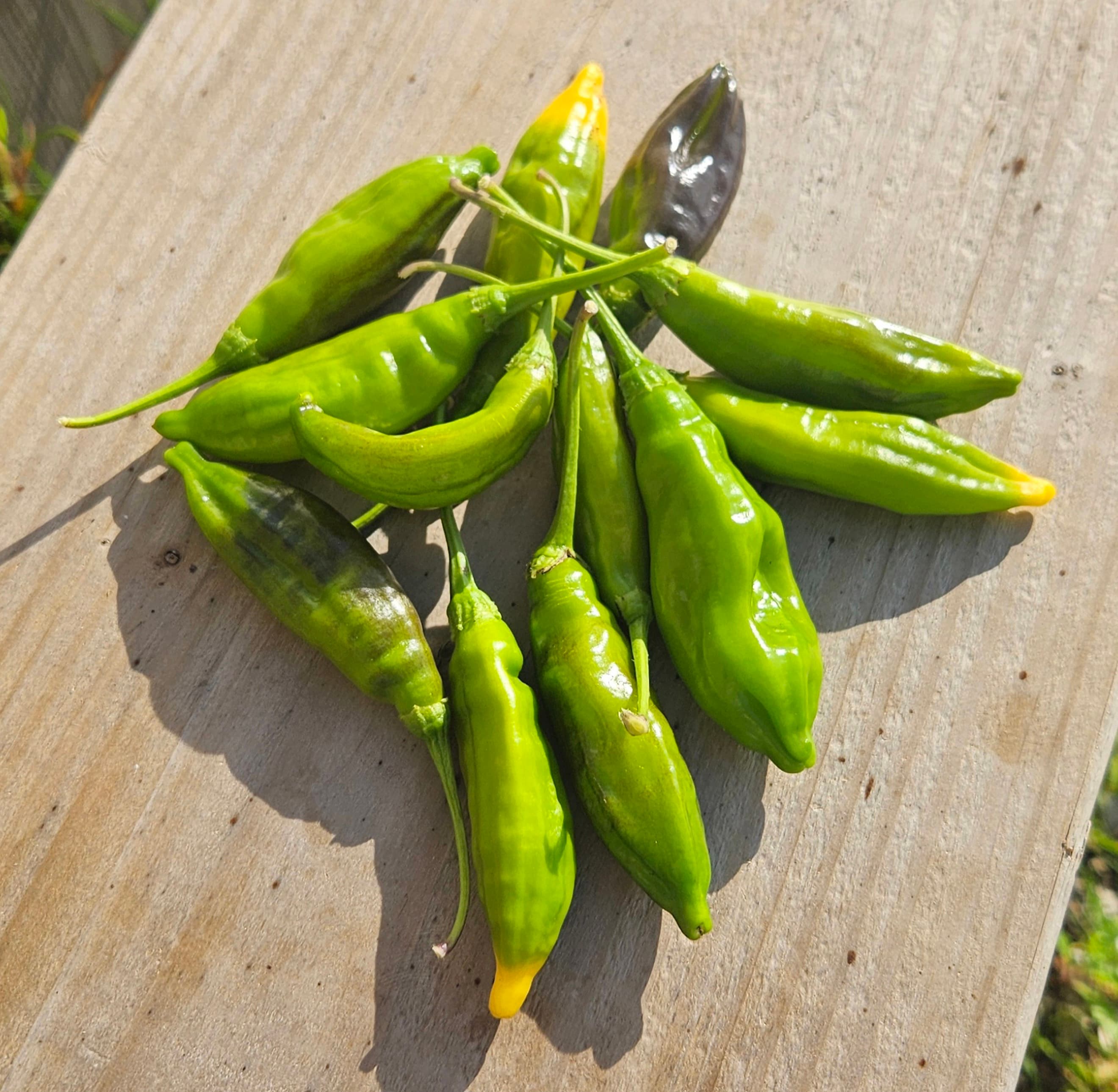 Green Chilli Peppers (50g)