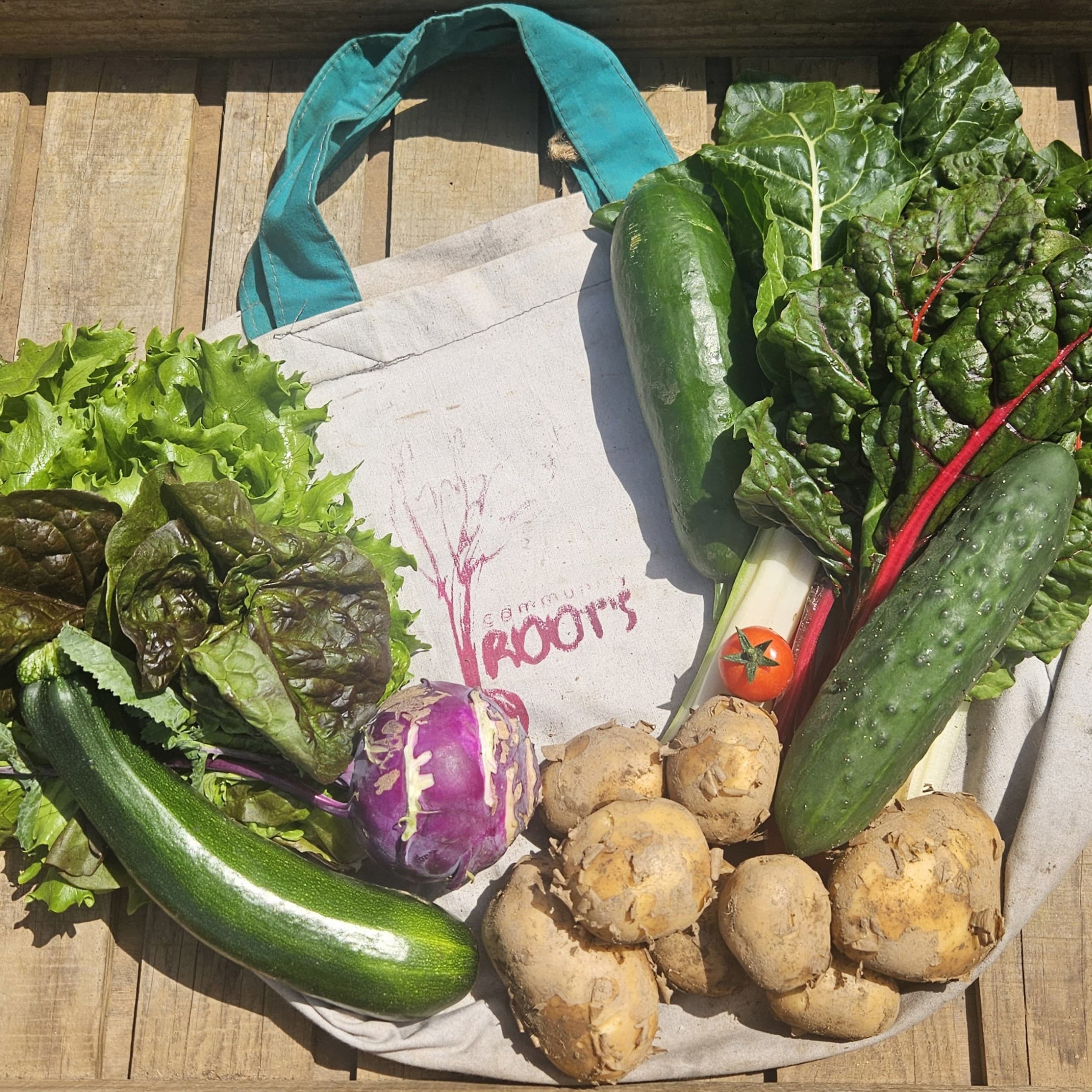 Standard Veg Bag