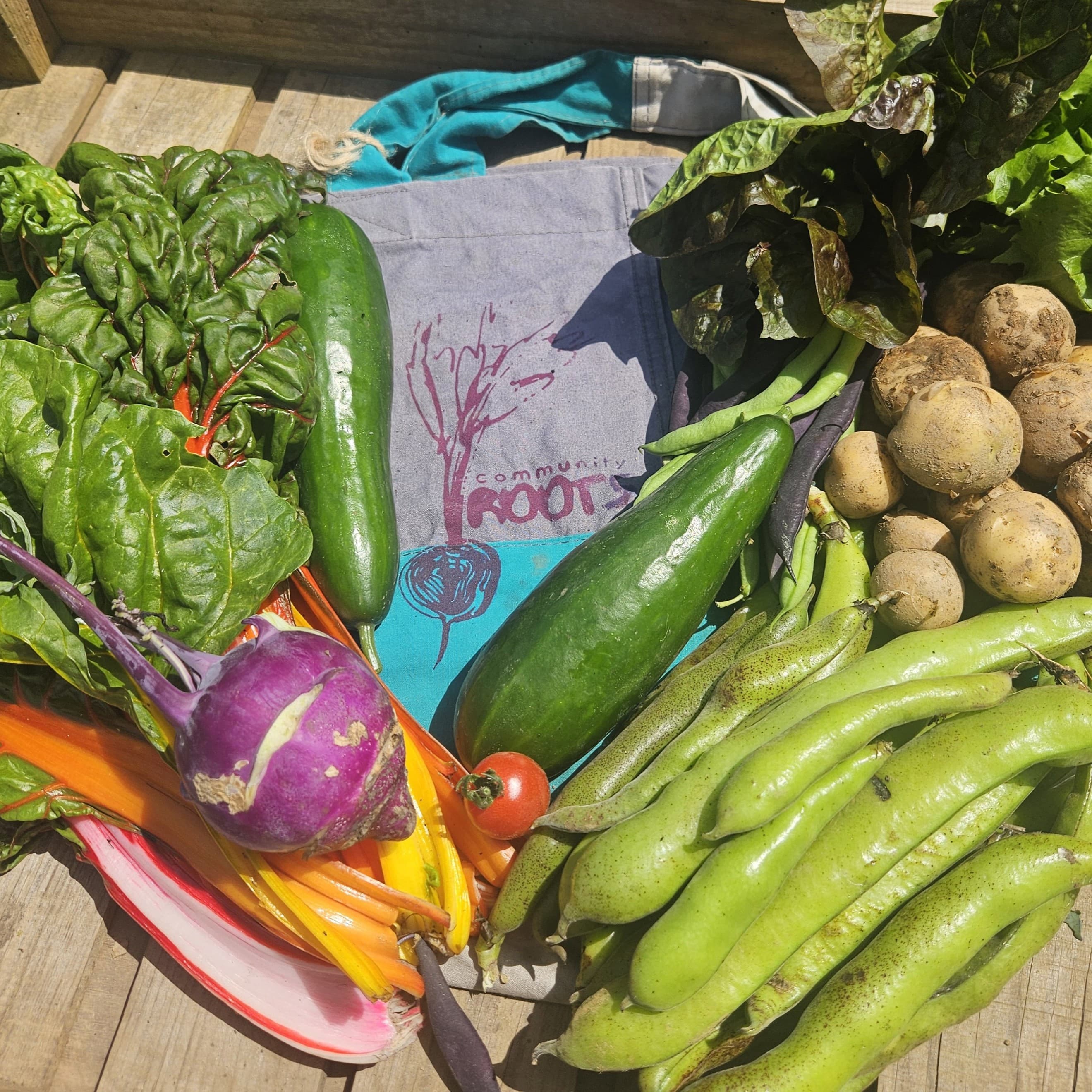 Bumper Veg Bag