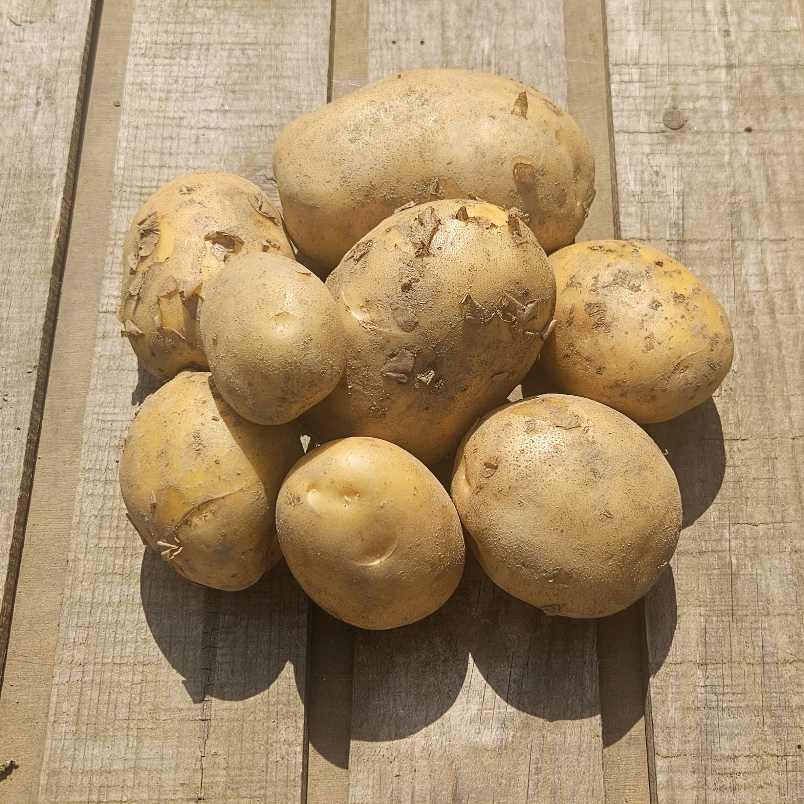Gear Farm Organic Potatoes (1kg)